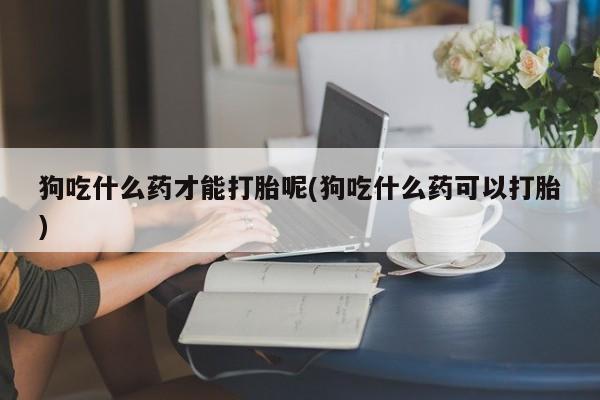网上卖打胎药的微信狗吃什么药才能打胎呢(狗吃什么药可以打胎)
