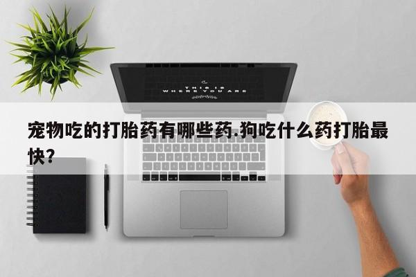网上卖打胎药的微信宠物吃的打胎药有哪些药.狗吃什么药打胎最快？