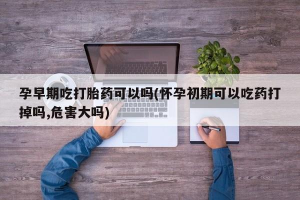 网上卖打胎药的微信孕早期吃打胎药可以吗(怀孕初期可以吃药打掉吗,危害大吗)